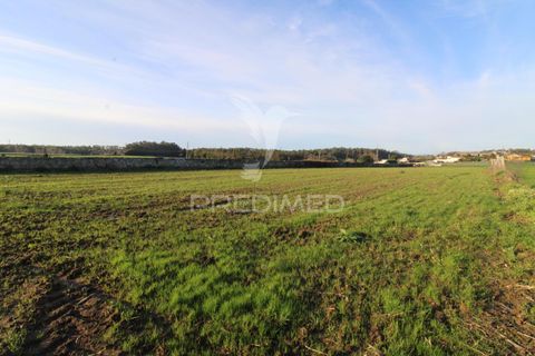 Helårsgrund i Vila do Conde, Porto, Vila do Conde - € 235.000 | Ref: 049901 - foto 11
