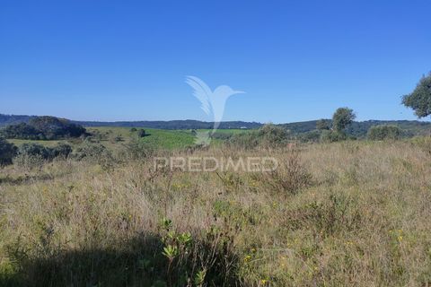 Terra a Alcanena, Santarem, Alcanena - € 12.000 | Ref: 050111 - foto 2