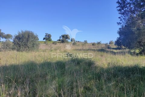 Terra a Alcanena, Santarem, Alcanena - € 12.000 | Ref: 050111 - foto 5