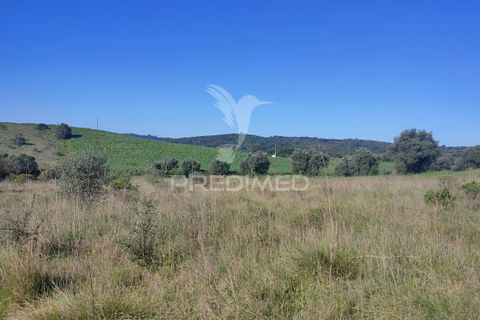 Terra a Alcanena, Santarem, Alcanena - € 12.000 | Ref: 050111 - foto 6