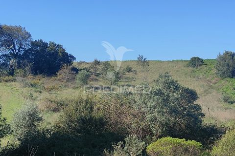 Terra a Alcanena, Santarem, Alcanena - € 12.000 | Ref: 050111 - foto 7