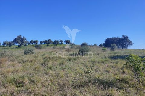 Terra a Alcanena, Santarem, Alcanena - € 12.000 | Ref: 050111 - foto 8