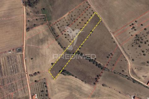 Terra a Alcanena, Santarem, Alcanena - € 12.000 | Ref: 050111 - foto 9