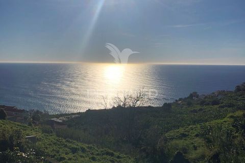 Stadthaus in Calheta, Madeira, Calheta - € 1.300.000 | Ref: 050290 - Foto 5