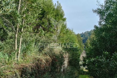 Helårsgrund i Gondomar, Porto, Gondomar - € 270.000 | Ref: 050419 - foto 4