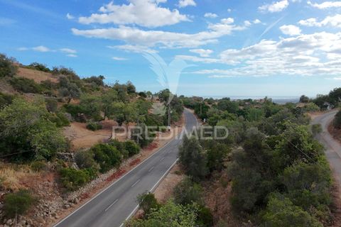 Helårsgrund i Faro, Faro, Faro - € 18.000 | Ref: 050466 - foto 3