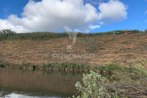 Gårdshus i Ourique, Beja, Ourique - € 130 000 | Ref: 050662 - foto 9