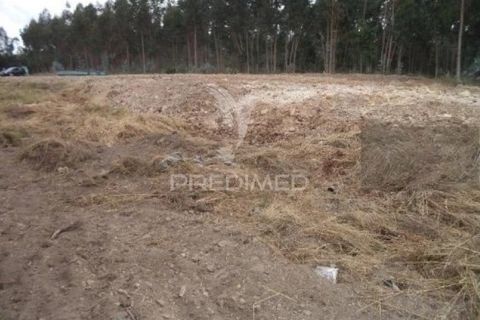 Helårsgrund i Estarreja, Aveiro, Estarreja - € 130.000 | Ref: 050687 - foto 2