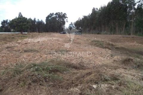 Helårsgrund i Estarreja, Aveiro, Estarreja - € 130.000 | Ref: 050687 - foto 3