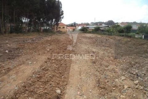 Helårsgrund i Estarreja, Aveiro, Estarreja - € 130.000 | Ref: 050687 - foto 4