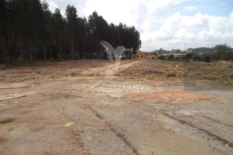 Helårsgrund i Estarreja, Aveiro, Estarreja - € 130.000 | Ref: 050687 - foto 5