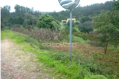 Helårsgrund i Agueda, Aveiro, Agueda - € 55.000 | Ref: 050696 - foto 1