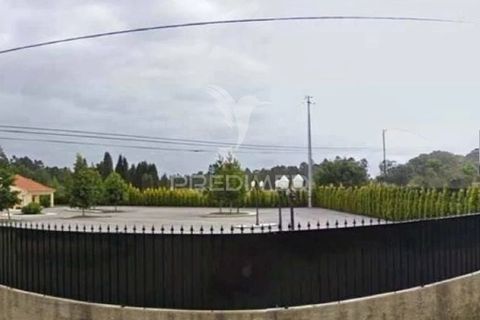 Helårsgrund i Agueda, Aveiro, Agueda - € 315.000 | Ref: 050699 - foto 4