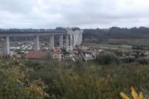 Helårsgrund i Agueda, Aveiro, Agueda - € 130.000 | Ref: 050701 - foto 1