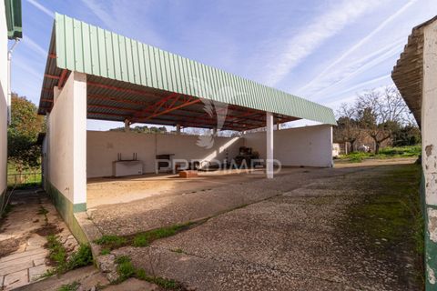 Farm hus i Estremoz, Evora, Estremoz - € 1.070.000 | Ref: 050842 - foto 16
