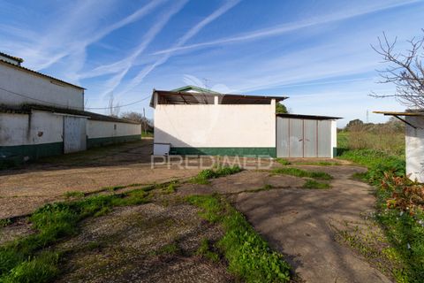 Farm hus i Estremoz, Evora, Estremoz - € 1.070.000 | Ref: 050842 - foto 17