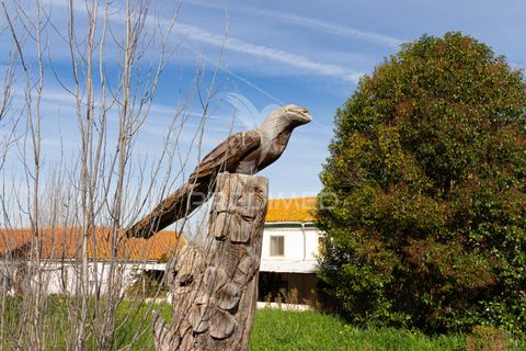 Farm hus i Estremoz, Evora, Estremoz - € 1.070.000 | Ref: 050842 - foto 25
