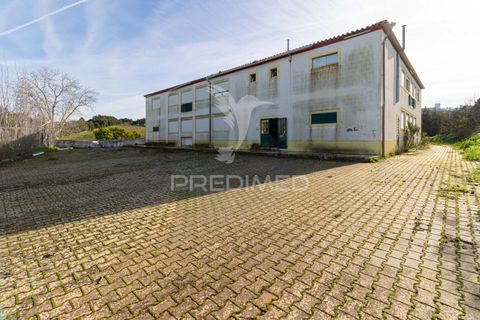 Farm hus i Estremoz, Evora, Estremoz - € 1.070.000 | Ref: 050842 - foto 27