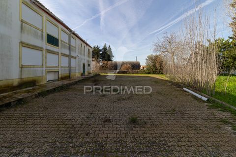 Farm hus i Estremoz, Evora, Estremoz - € 1.070.000 | Ref: 050842 - foto 28
