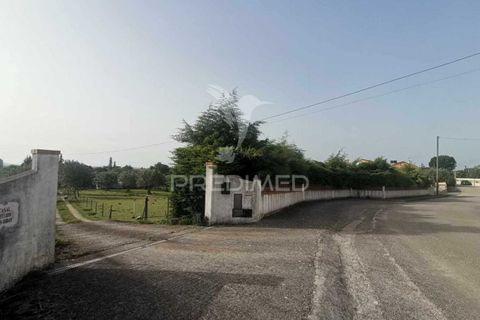 Byhus i Tomar, Santarem, Tomar - € 350.000 | Ref: 051032 - foto 5