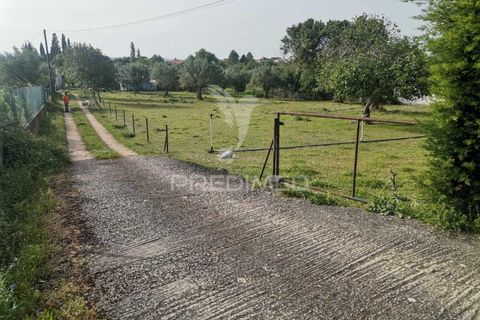 Byhus i Tomar, Santarem, Tomar - € 350.000 | Ref: 051032 - foto 6