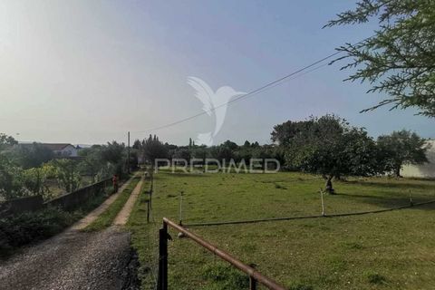 Byhus i Tomar, Santarem, Tomar - € 350.000 | Ref: 051032 - foto 7