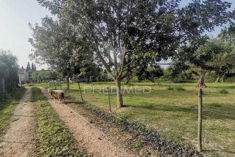 Byhus i Tomar, Santarem, Tomar - € 350.000 | Ref: 051032 - foto 9