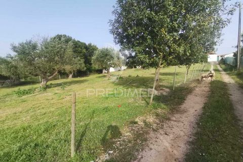 Byhus i Tomar, Santarem, Tomar - € 350.000 | Ref: 051032 - foto 10