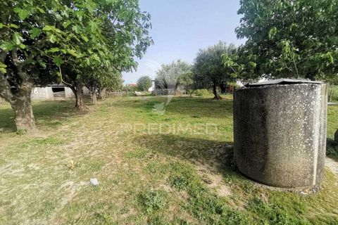 Byhus i Tomar, Santarem, Tomar - € 350.000 | Ref: 051032 - foto 14