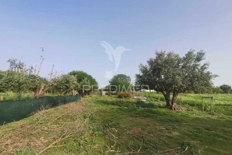 Byhus i Tomar, Santarem, Tomar - € 350.000 | Ref: 051032 - foto 15