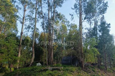 Helårsgrund i Ourem, Santarem, Ourem - € 50.000 | Ref: 051584 - foto 2