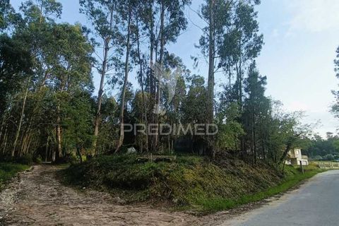 Helårsgrund i Ourem, Santarem, Ourem - € 50.000 | Ref: 051584 - foto 3