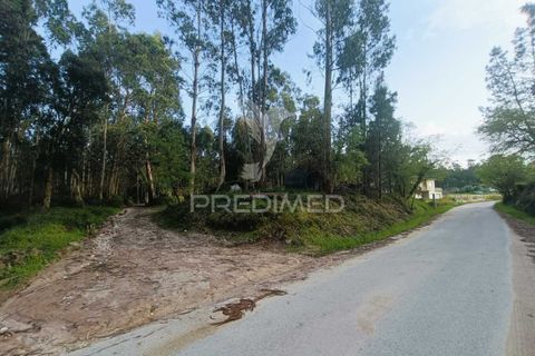 Helårsgrund i Ourem, Santarem, Ourem - € 50.000 | Ref: 051584 - foto 4