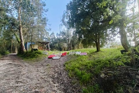 Helårsgrund i Ourem, Santarem, Ourem - € 50.000 | Ref: 051584 - foto 5