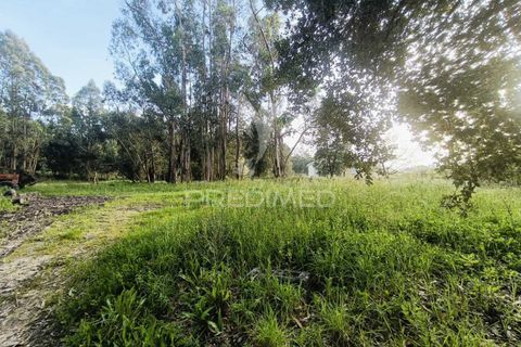 Helårsgrund i Ourem, Santarem, Ourem - € 50.000 | Ref: 051584 - foto 6