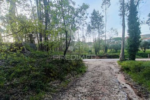 Helårsgrund i Ourem, Santarem, Ourem - € 50.000 | Ref: 051584 - foto 7