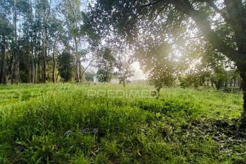 Helårsgrund i Ourem, Santarem, Ourem - € 50.000 | Ref: 051584 - foto 8