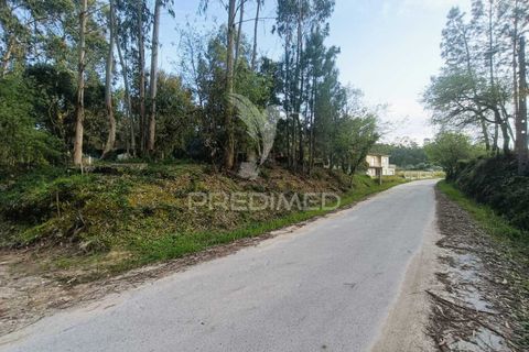 Helårsgrund i Ourem, Santarem, Ourem - € 50.000 | Ref: 051584 - foto 9