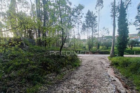 Helårsgrund i Ourem, Santarem, Ourem - € 50.000 | Ref: 051584 - foto 10