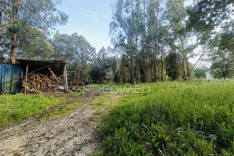 Helårsgrund i Ourem, Santarem, Ourem - € 50.000 | Ref: 051584 - foto 11