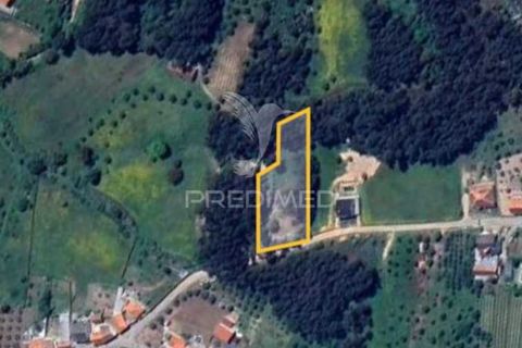 Helårsgrund i Ourem, Santarem, Ourem - € 50.000 | Ref: 051584 - foto 12