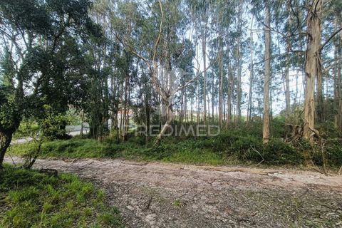 Helårsgrund i Ourem, Santarem, Ourem - € 50.000 | Ref: 051584 - foto 13