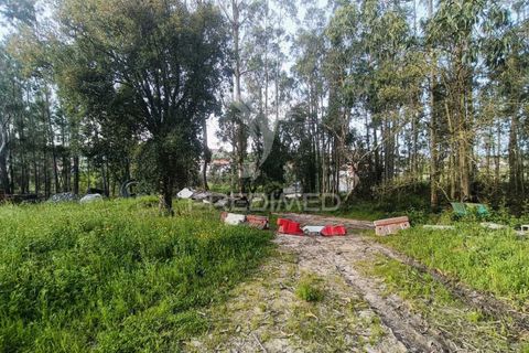 Helårsgrund i Ourem, Santarem, Ourem - € 50.000 | Ref: 051584 - foto 14