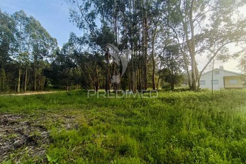 Helårsgrund i Ourem, Santarem, Ourem - € 50.000 | Ref: 051584 - foto 15