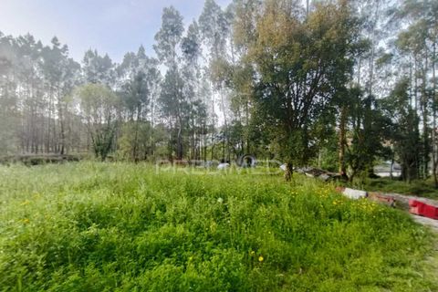 Helårsgrund i Ourem, Santarem, Ourem - € 50.000 | Ref: 051584 - foto 16
