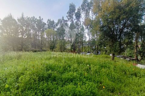 Helårsgrund i Ourem, Santarem, Ourem - € 50.000 | Ref: 051584 - foto 17