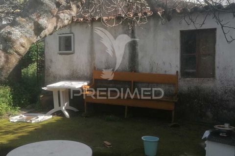 Landejendom i Nisa, Portalegre, Nisa - € 45.000 | Ref: 051884 - foto 12