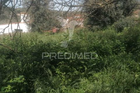 Landejendom i Nisa, Portalegre, Nisa - € 45.000 | Ref: 051884 - foto 13