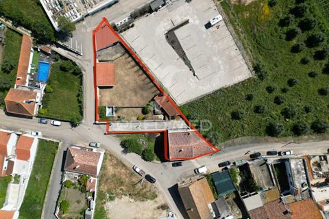 Erhvervsejendom i Silves, Faro, Silves - € 270.000 | Ref: 052034 - foto 6