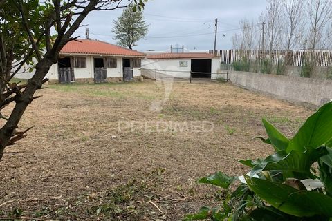 Erhvervsejendom i Silves, Faro, Silves - € 270.000 | Ref: 052034 - foto 11
